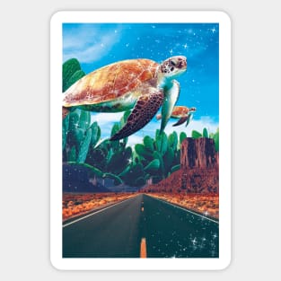 Desert Turtle Sticker